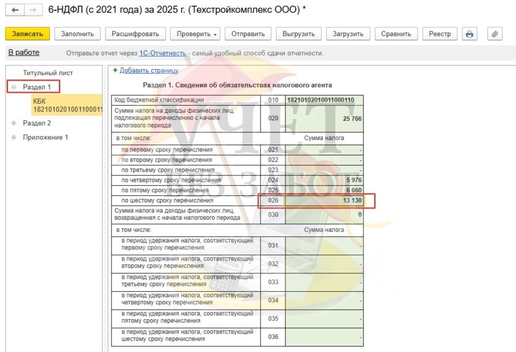 ZZDZUP 31.jpg
