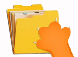 Курс &laquo;НДС при УСН на&nbsp;практических примерах в&nbsp;1С: Бухгалтерии&raquo;